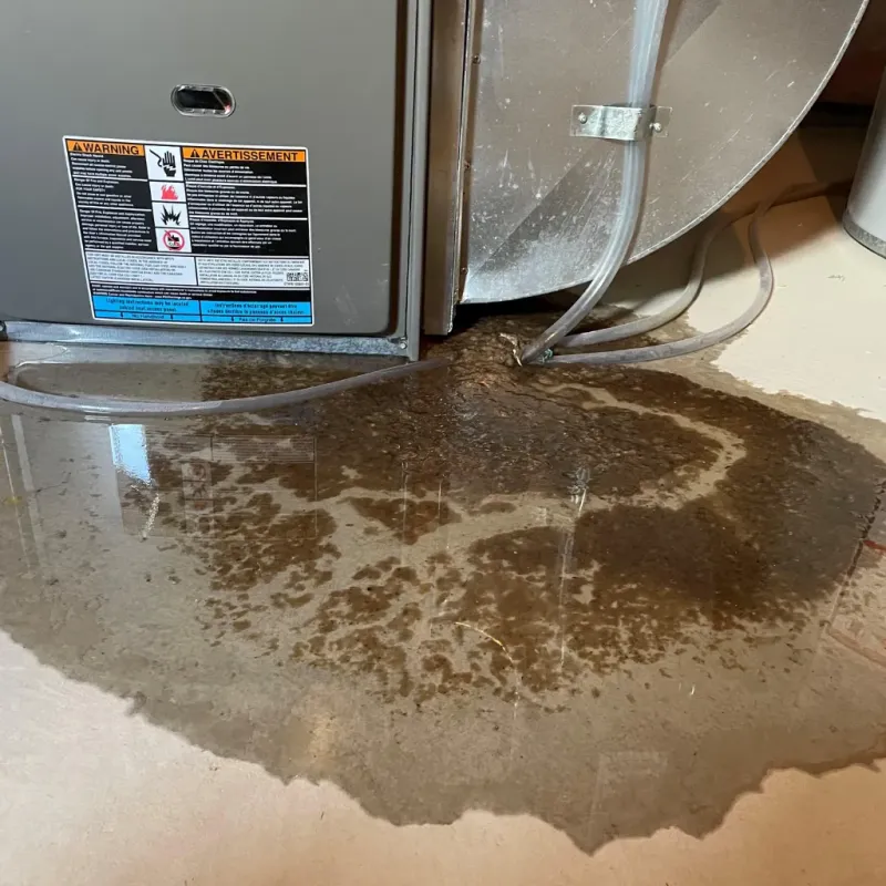 Appliance Leak Cleanup in Morrill County, NE